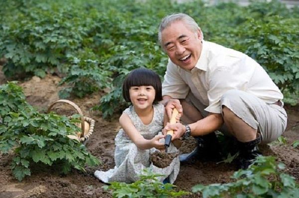 Hình ảnh minh họa chân dung người ông (Nguồn: Internet)