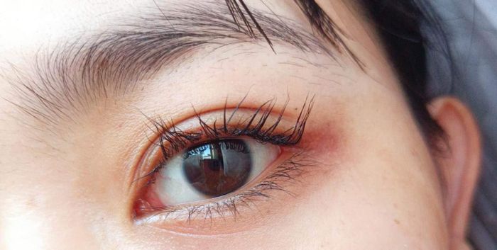 Hình ảnh tác phẩm uốn mi nghệ thuật tại Phụng Trương Beauty