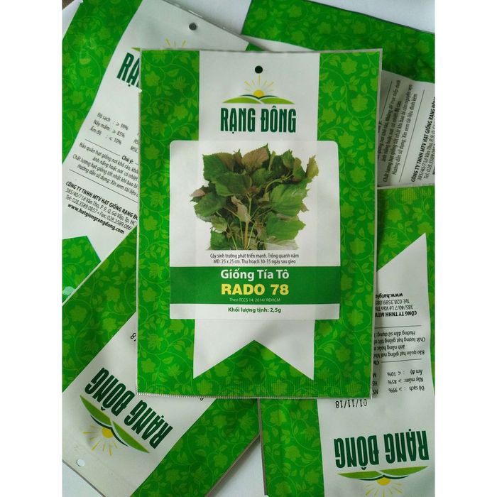 Hạt Giống Rạng Đông hình ảnh 2