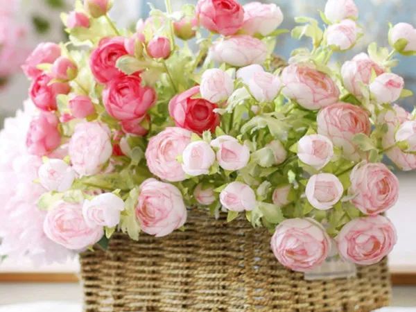 Vườn Mao Lương khoe sắc ngày Tết