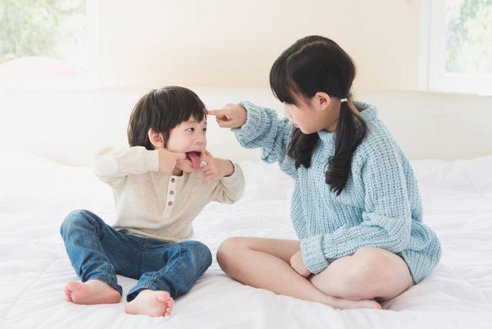 Hình ảnh minh họa sống động (Nguồn: Internet)