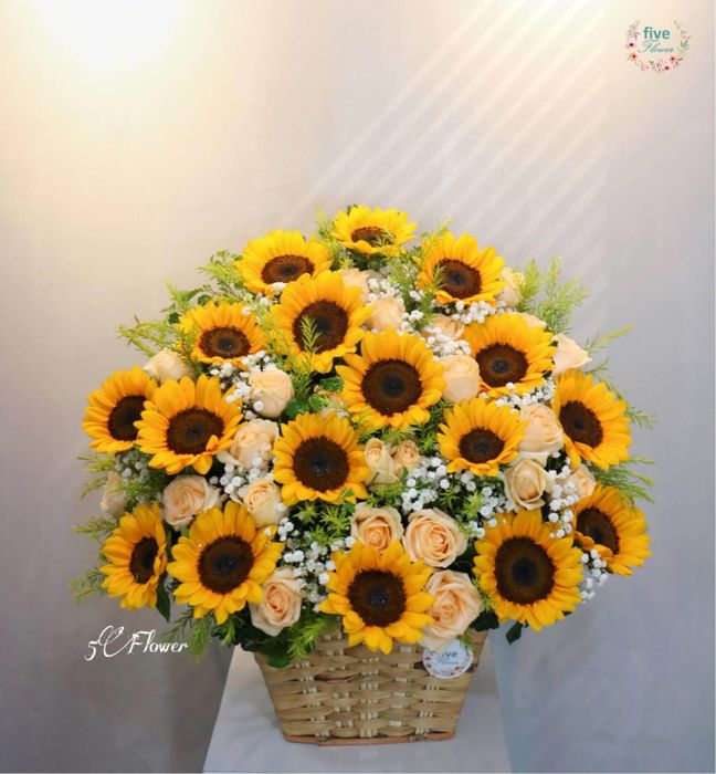 Hoa hướng dương rực rỡ trong nắng vàng