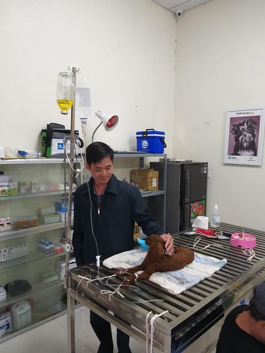 Không gian khám chữa bệnh tại Phòng Khám Thú Y DocaPet