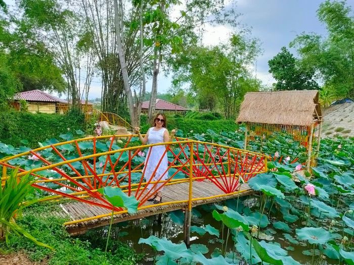 Khu Du Lịch Sinh Thái Bồ Bồ Hình 2