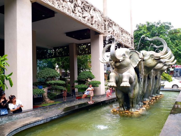 Ảnh Khách sạn Elephants 1