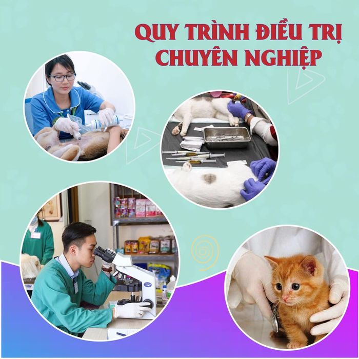 Không gian hiện đại tại Phòng khám thú y FairyPet