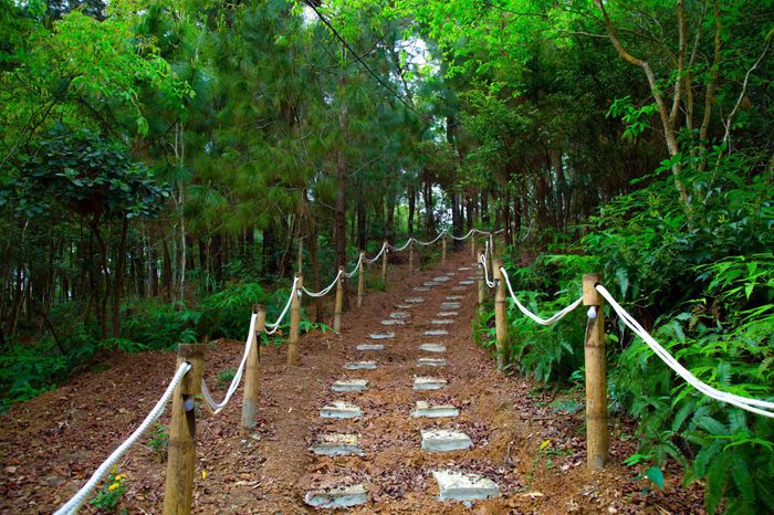 Khoảnh khắc bình yên tại Đồng Quan Camping & Coffee - Ảnh 2