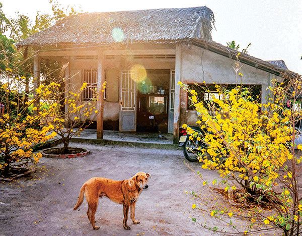 Hình ảnh minh họa chân thực về chái bếp quê