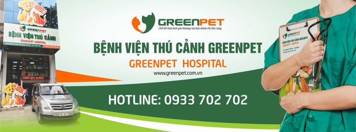 Hình ảnh phòng khám hiện đại tại Bệnh viện thú cảnh Greenpet