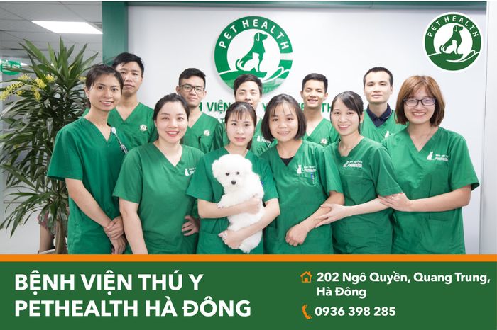 Không gian hiện đại tại Bệnh viện Thú Y PetHealth Hà Đông