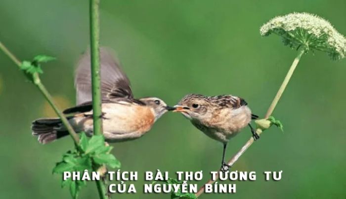 Ảnh minh họa (Nguồn internet) ảnh 1