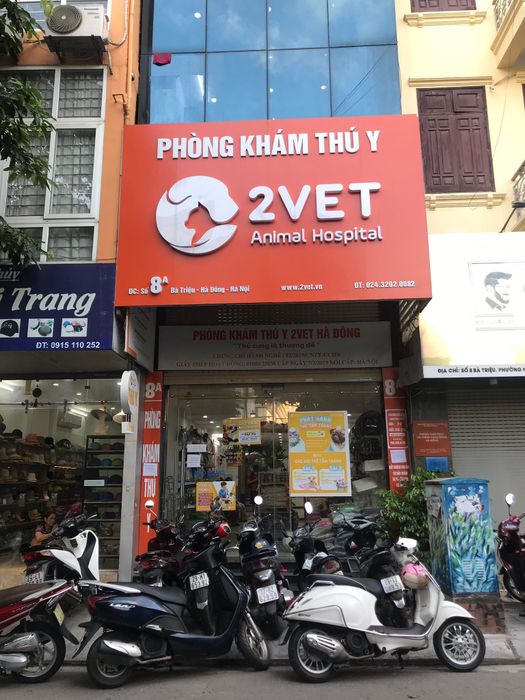 Hình ảnh Phòng Khám Thú Y 2Vet - góc nhìn chân thực về cơ sở vật chất
