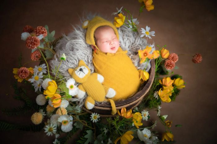 Khoảnh khắc đầu đời qua ống kính Nhà Cừu