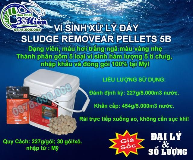 Hình ảnh ứng dụng thực tế các sản phẩm hóa chất thủy sản tại Hóa Chất 3 Miền