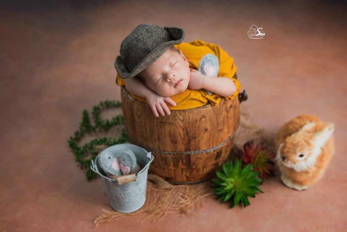 Tác phẩm nghệ thuật từ Sun Baby Studio