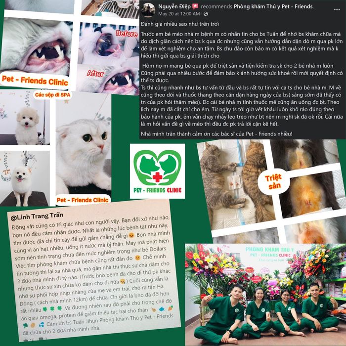 Hình ảnh đội ngũ bác sĩ chuyên nghiệp tại Pet Friends