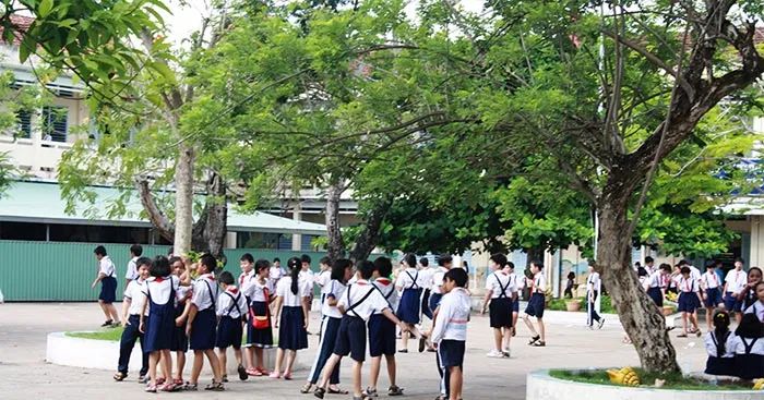 Ảnh minh họa (Nguồn internet) - Ảnh 1