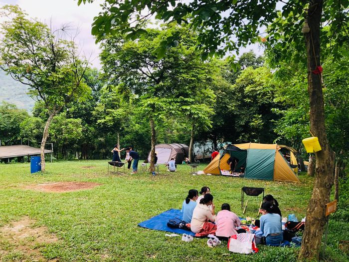 Khám phá không gian xanh mát tại Sơn Tinh Camp - Ảnh 1