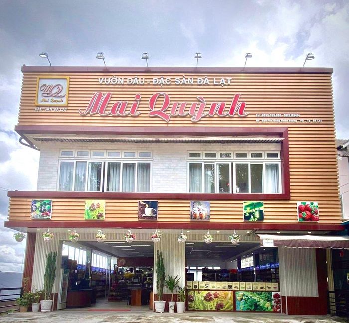 Đặc Sản Mai Quỳnh Đà Lạt hình ảnh 1