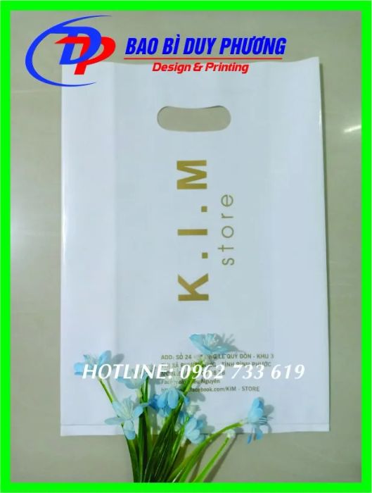 In Bao Bì Duy Phương hình ảnh 2