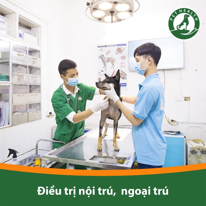 Hệ thống phòng khám chuyên khoa tại PetHealth
