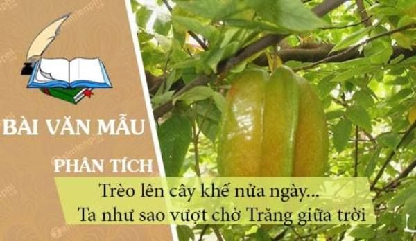 Ảnh minh họa số 1 (Nguồn: internet)
