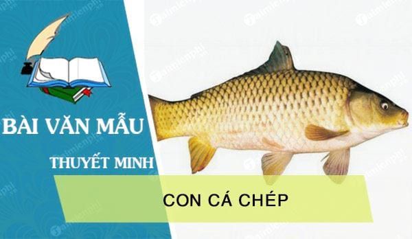 Ảnh minh họa (Nguồn internet) ảnh 1