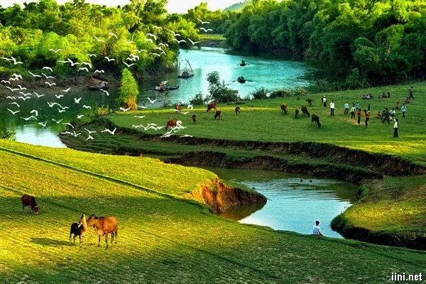 Hình ảnh minh họa đầy cảm xúc (Nguồn: internet)