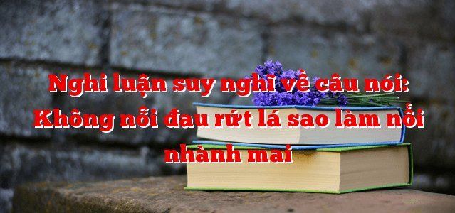 Ảnh Minh Họa (Nguồn Internet) Hình Ảnh 1