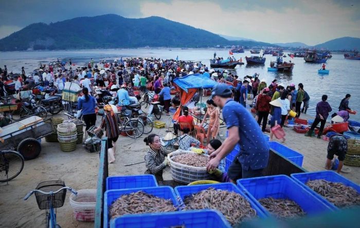 Hình ảnh Chợ Hải Sản Tươi Sống Ven Biển Đường Hoàng Sa