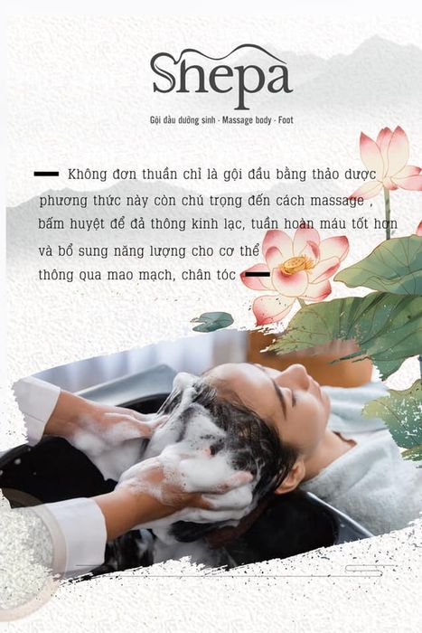 Shepa - Nghệ thuật massage trị liệu đỉnh cao