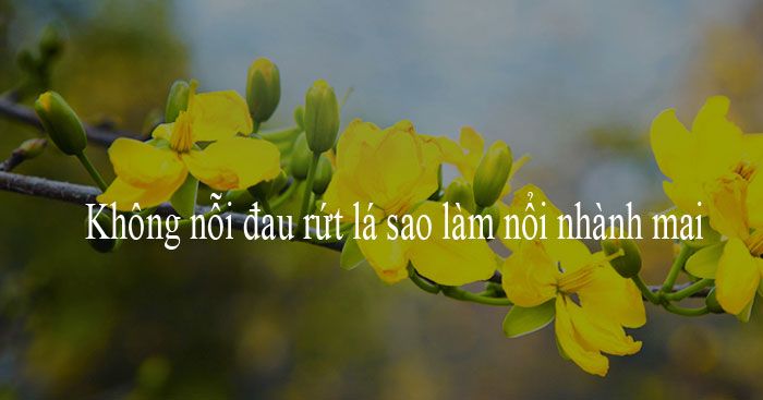 Ảnh minh họa (Nguồn internet) ảnh 1
