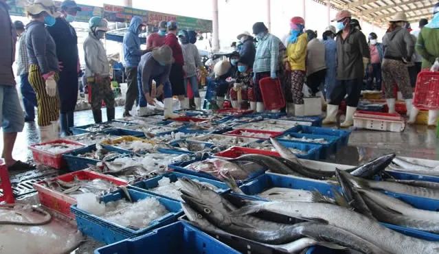 Hình ảnh Chợ Đầu Mối Thủy Sản Thọ Quang