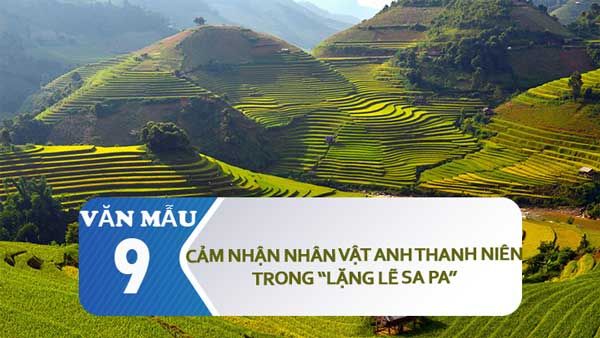 Hình ảnh minh họa sinh động (Nguồn: internet) - Ảnh 2