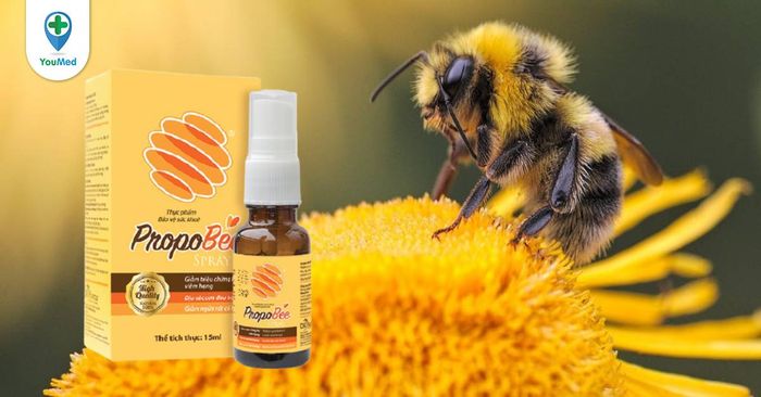 Hình ảnh thực tế xịt họng keo ong PropoBee - góc nhìn toàn cảnh