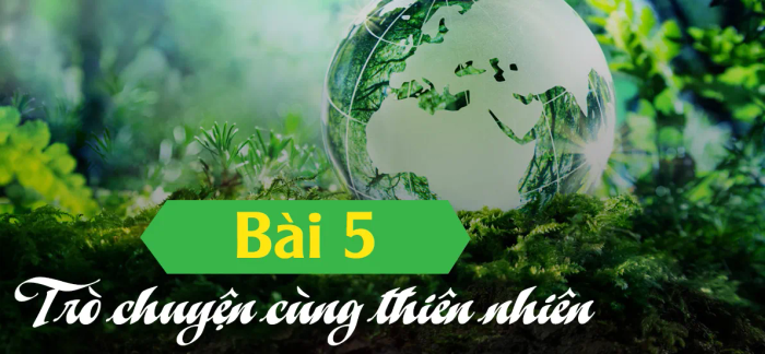 Hình ảnh minh họa chất lượng cao (Nguồn: Internet)