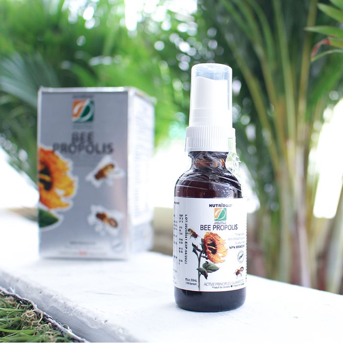 Hình ảnh thực tế Xịt keo ong David Health Bee Propolis - thiết kế sang trọng
