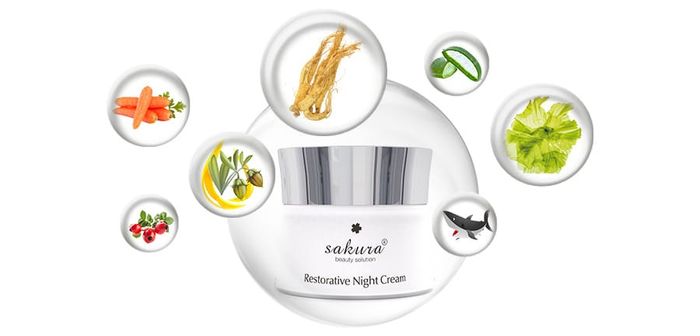 Sakura Restorative Night Cream - Kem dưỡng phục hồi ban đêm chiết xuất hoa anh đào, ngăn ngừa lão hóa da hiệu quả (Ảnh 2)