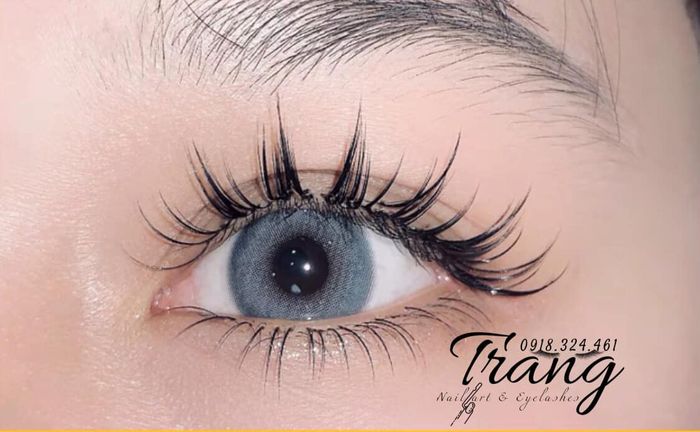 Bộ sưu tập mẫu mi đa phong cách tại Trang Nail & Mi