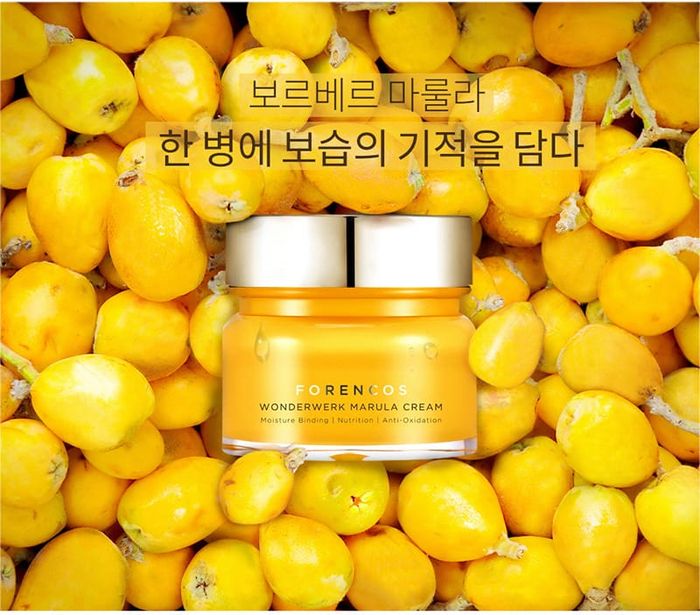 Forencos Wonderwerk Marula Tone Up Cream - Kem dưỡng nâng cơ vàng chống lão hóa ban đêm (Ảnh 1)