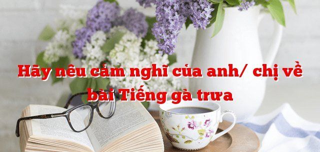 [Hình ảnh minh họa sinh động: Cận cảnh đàn gà mái mơ với hoa đốm trắng đang nhảy ổ dưới nắng trưa vàng. Nguồn: Tổng hợp]