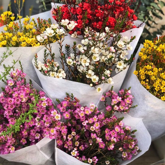 Shop Hoa Tươi Duy Nguyễn ảnh 1