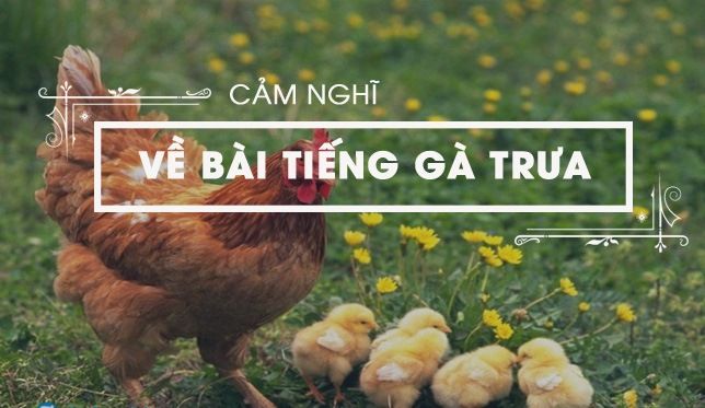 Hình ảnh minh họa chân thực (Nguồn: Internet) - Ảnh 1