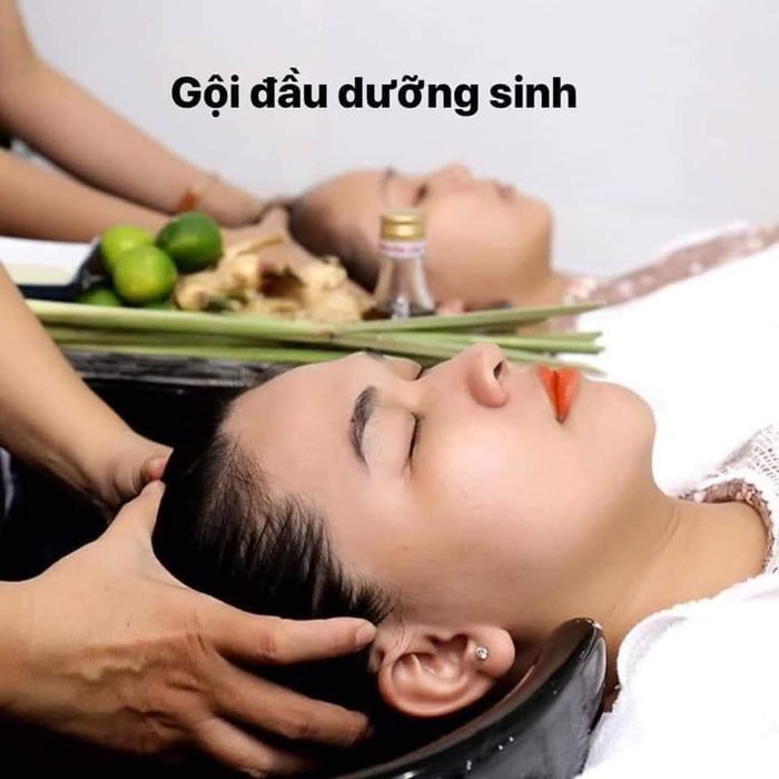 An Dưỡng Sinh hình ảnh 1
