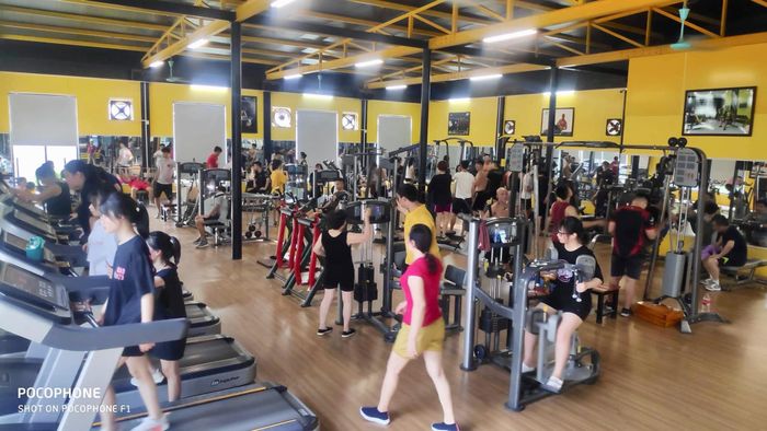 Hệ thống máy tập hiện đại tại Gold Gym Club Yên Bái