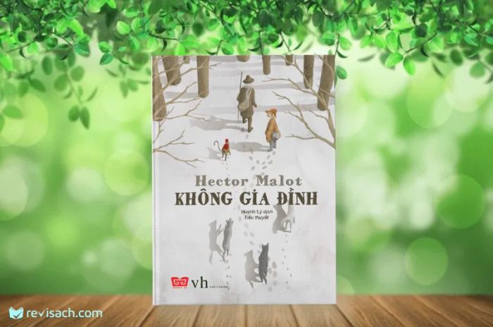Hình ảnh đẹp từ 'Không Gia Đình' - Khoảnh khắc xúc động trong hành trình gian nan nhưng đầy nghị lực của cậu bé Rémi đi tìm mái ấm gia đình.