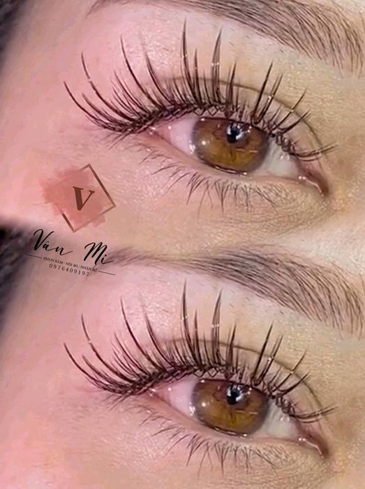 Hình ảnh thực tế mi nối nghệ thuật tại Vân Mi
