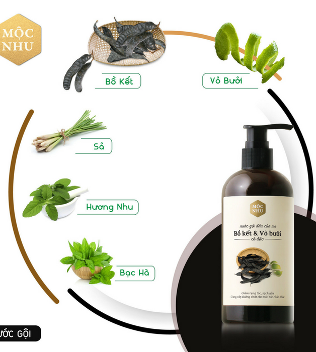 Nước gội bồ kết cô đặc Mộc Nhu - Tinh chất thiên nhiên cho mái tóc chắc khỏe (Ảnh minh họa 1)