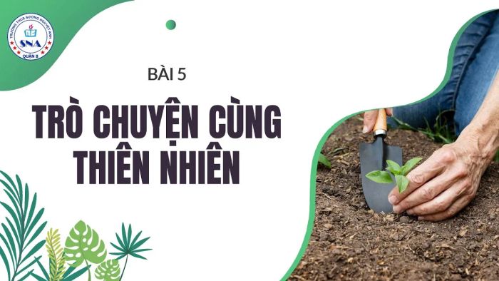 Hình ảnh minh họa đặc sắc (Nguồn: Internet)