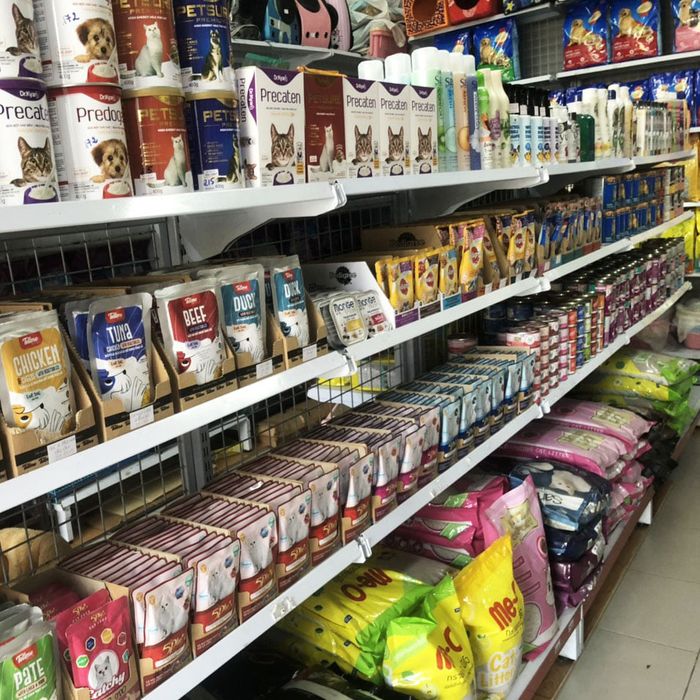 Hình ảnh PetCity 2